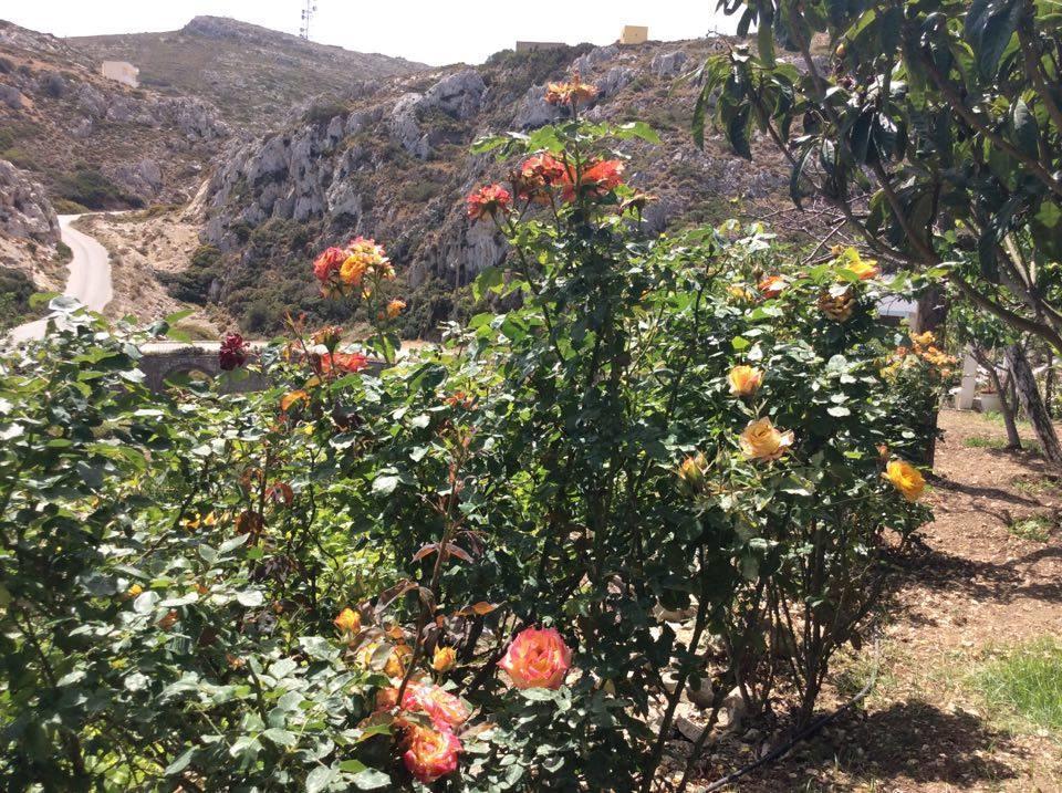 La Villa Di Zazopetra Menetai Ngoại thất bức ảnh