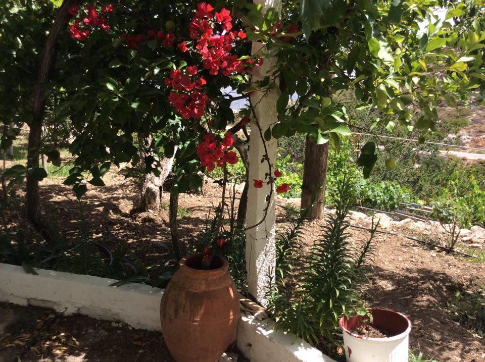 La Villa Di Zazopetra Menetai Ngoại thất bức ảnh
