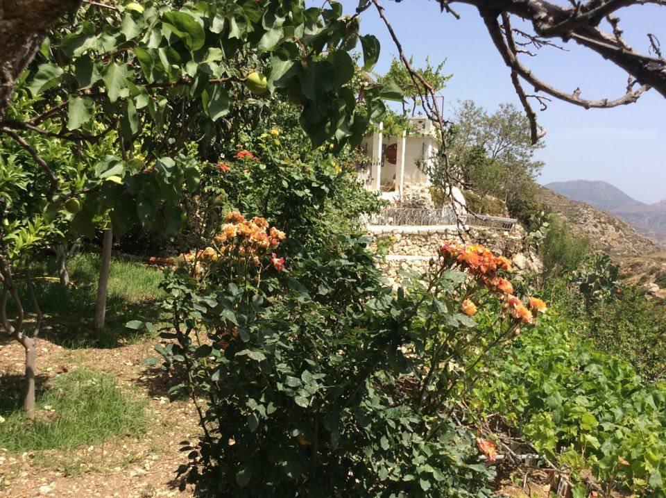 La Villa Di Zazopetra Menetai Ngoại thất bức ảnh