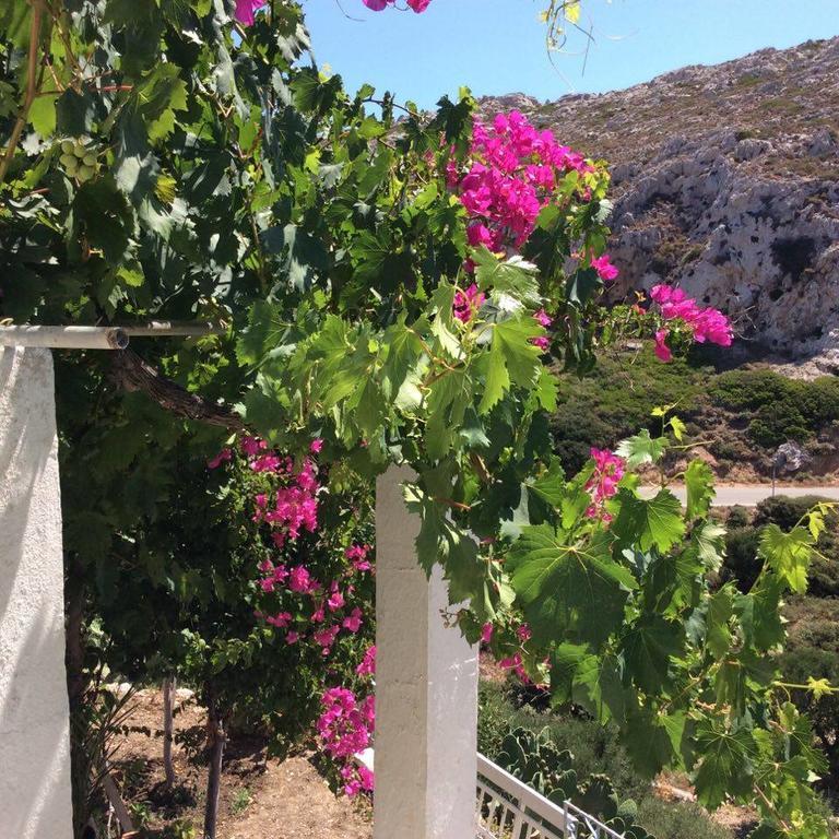La Villa Di Zazopetra Menetai Ngoại thất bức ảnh