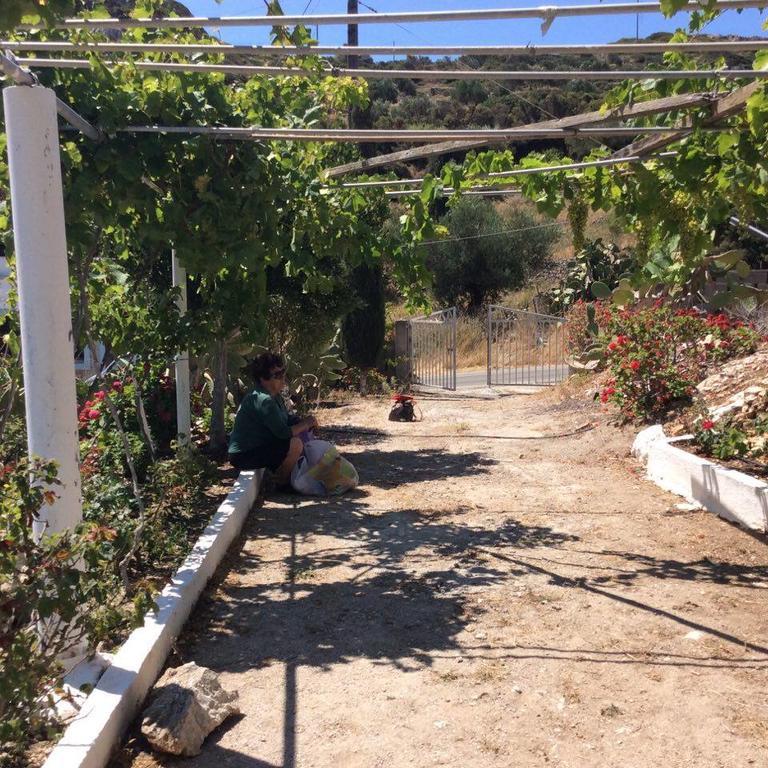 La Villa Di Zazopetra Menetai Ngoại thất bức ảnh