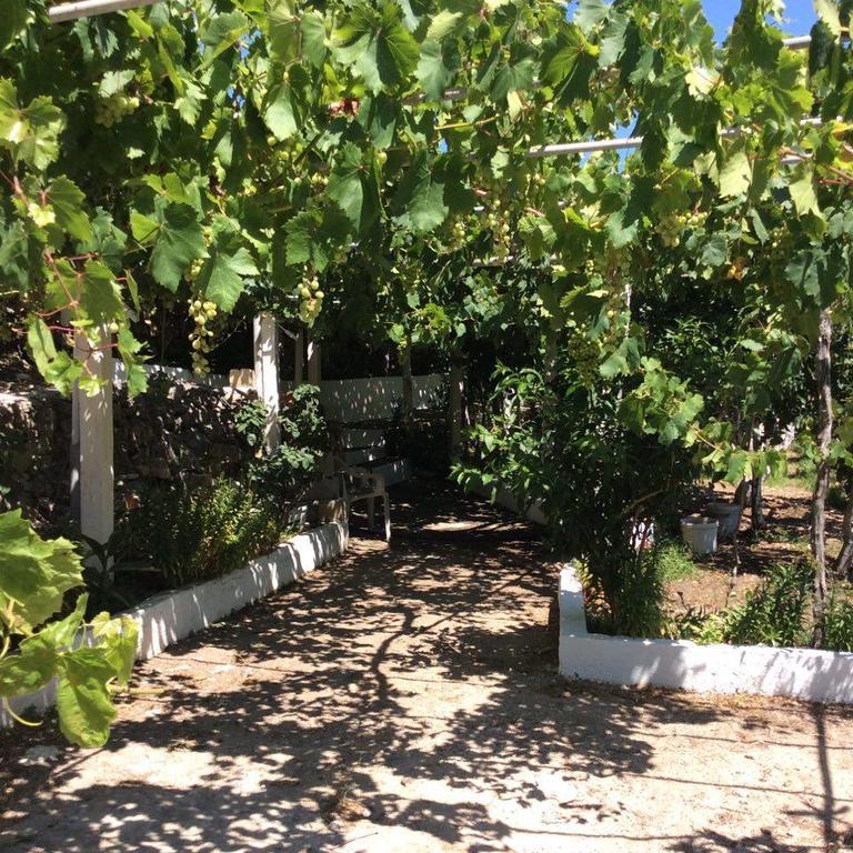 La Villa Di Zazopetra Menetai Ngoại thất bức ảnh