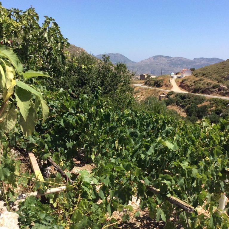 La Villa Di Zazopetra Menetai Ngoại thất bức ảnh